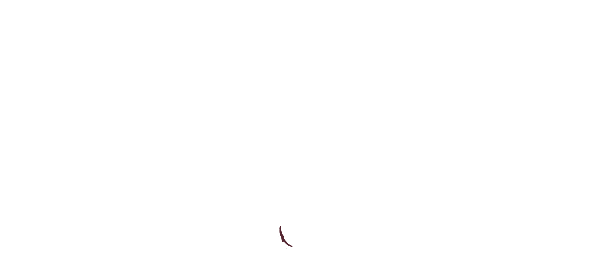 Image 01